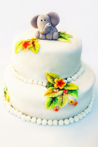 Fondant elephant cakes in Columbus, Ohio