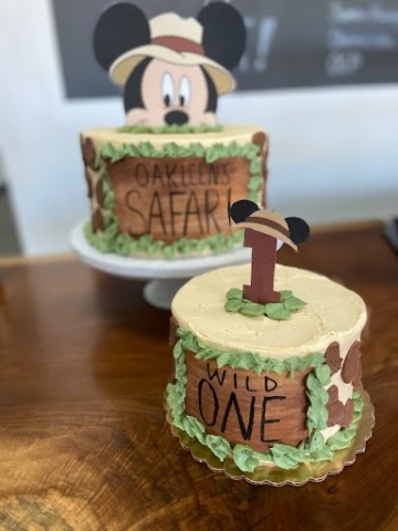 Safari themed cakes in Gahanna, Ohio