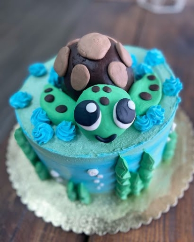 Sea turtle themed cake