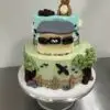 Custom themed cakes bird watching
