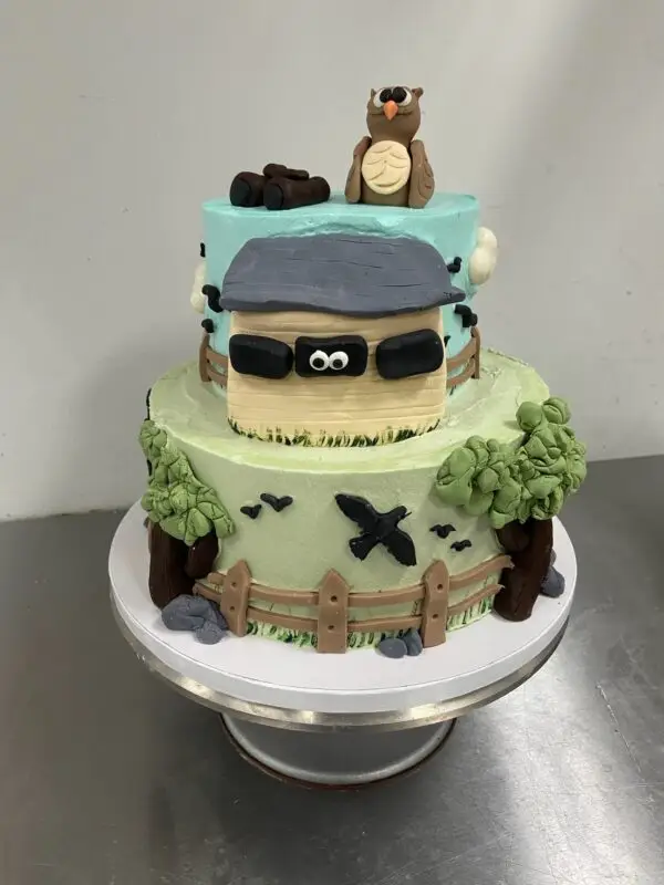 Themed Cakes