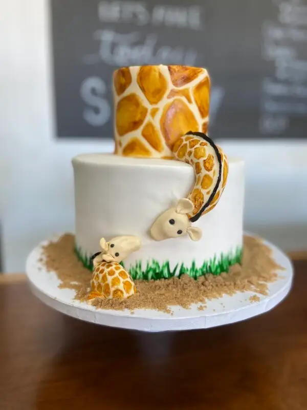 Themed Cakes - Image 26