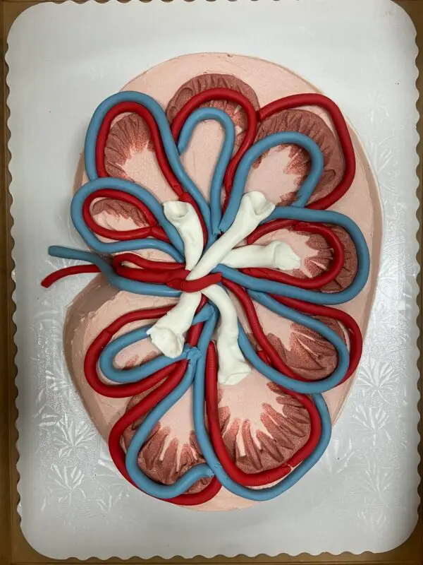 2D Cakes - Image 2