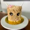 4" All icing highland cow theme with fondant face/horn details